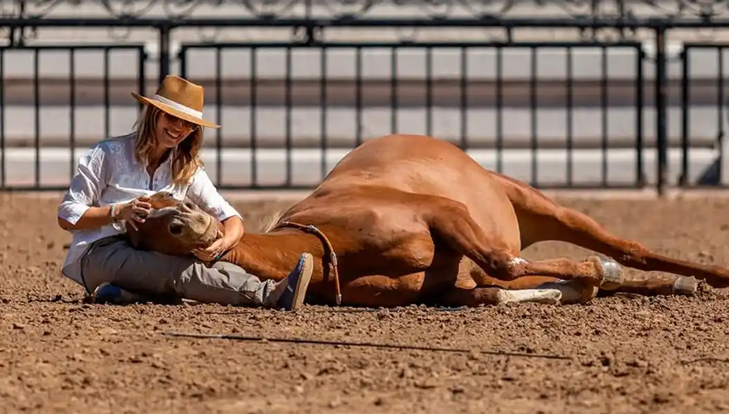 Ailina Wegrzyn, creadora de Alma Equina, se presentará en la muestra. Foto: Gentileza.