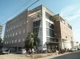 Presentarán el libro “Del campo a la universidad”
