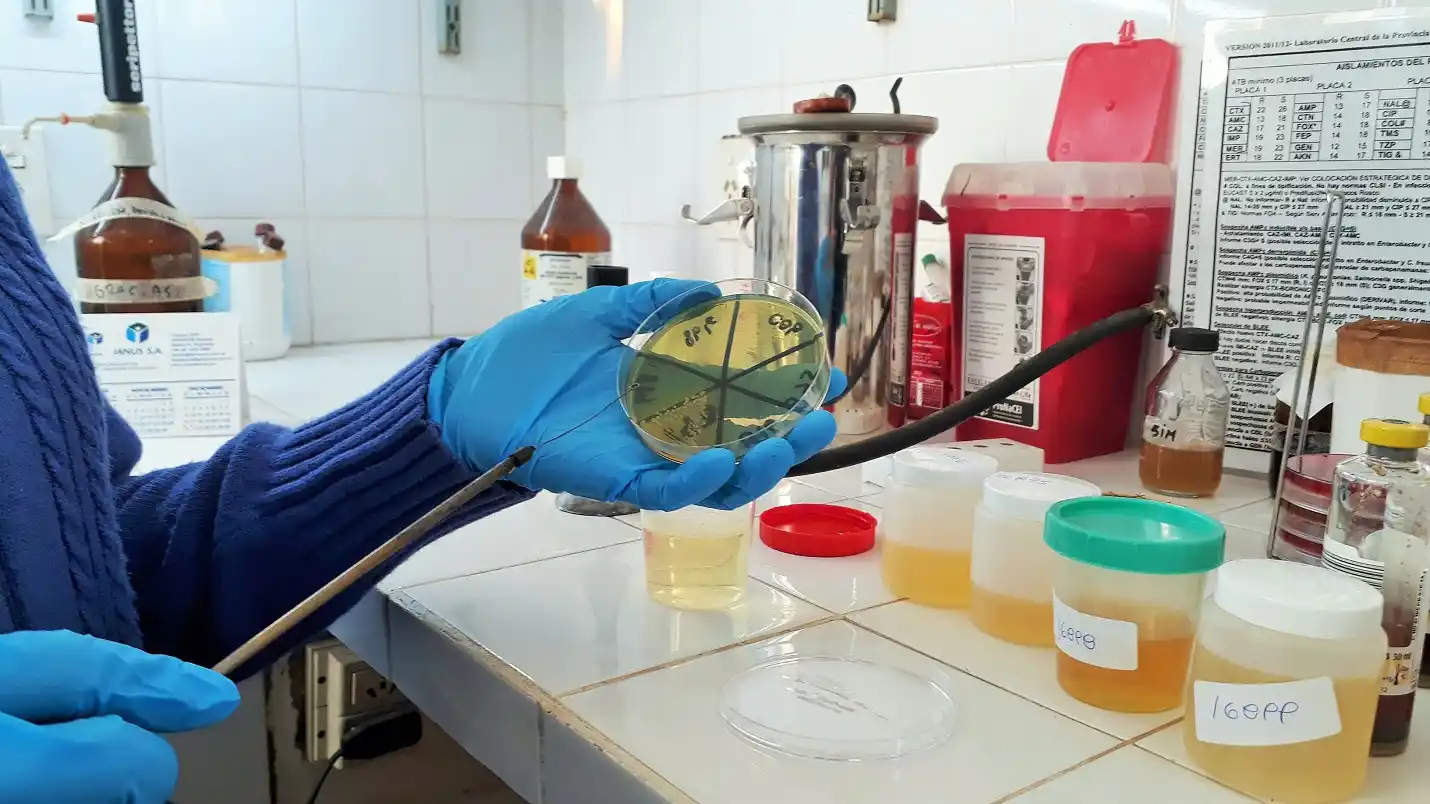 Capacitarán sobre superbacterias, el nuevo desafío para la salud