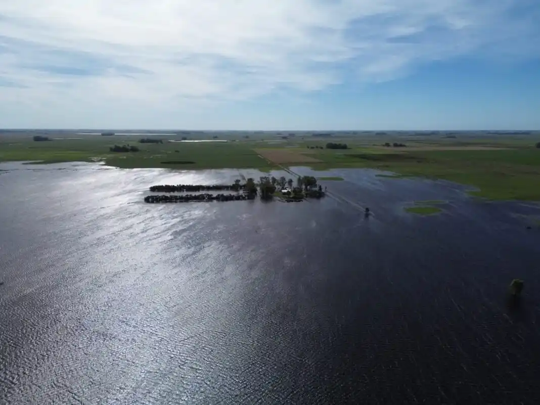 Beneficios para Coronel Suarez y Guaminí.