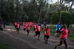 Correrán a beneficio del hospital necochense