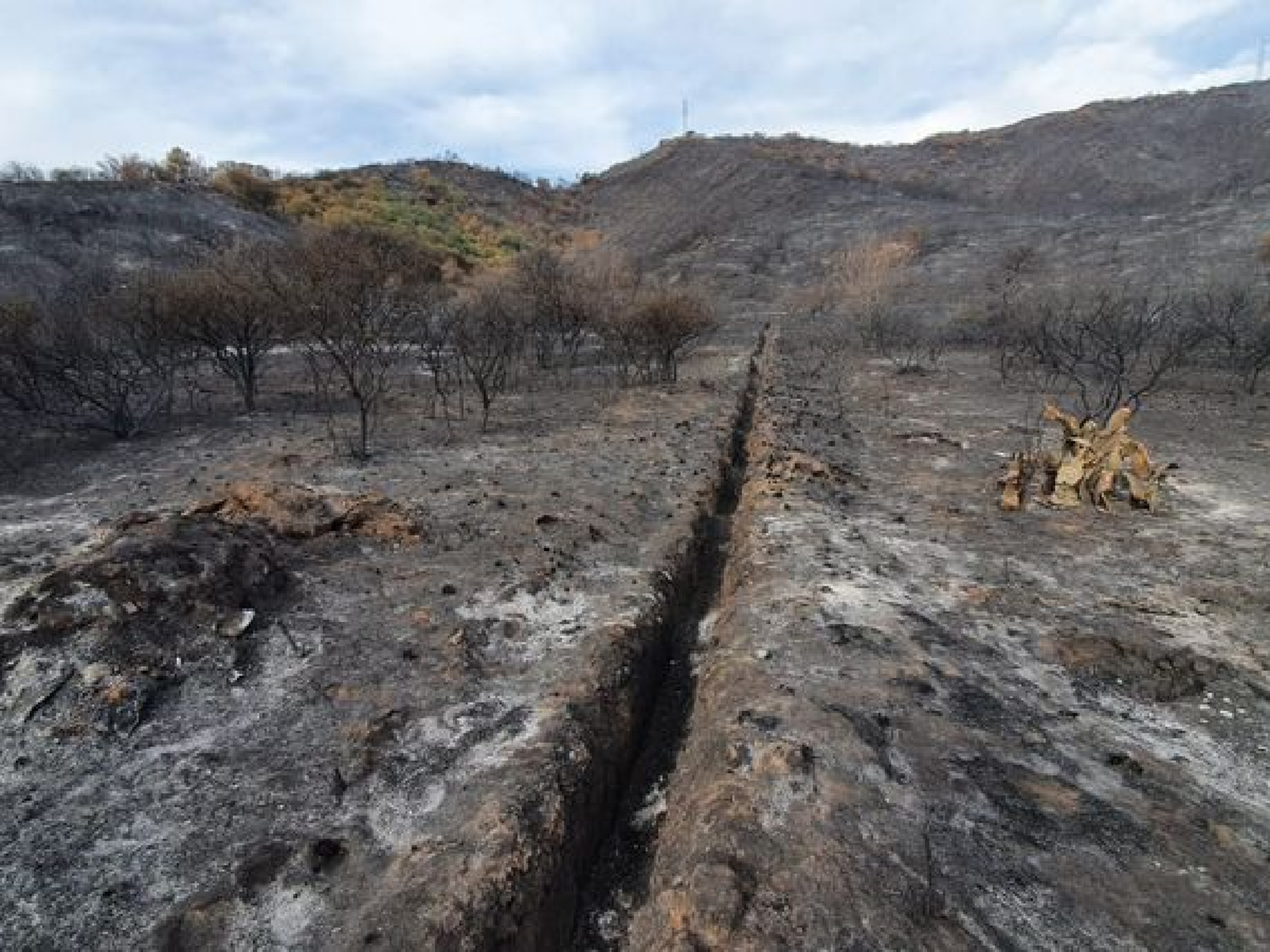 Están contenidos los focos de incendio de Córdoba y comienza la guardia de cenizas