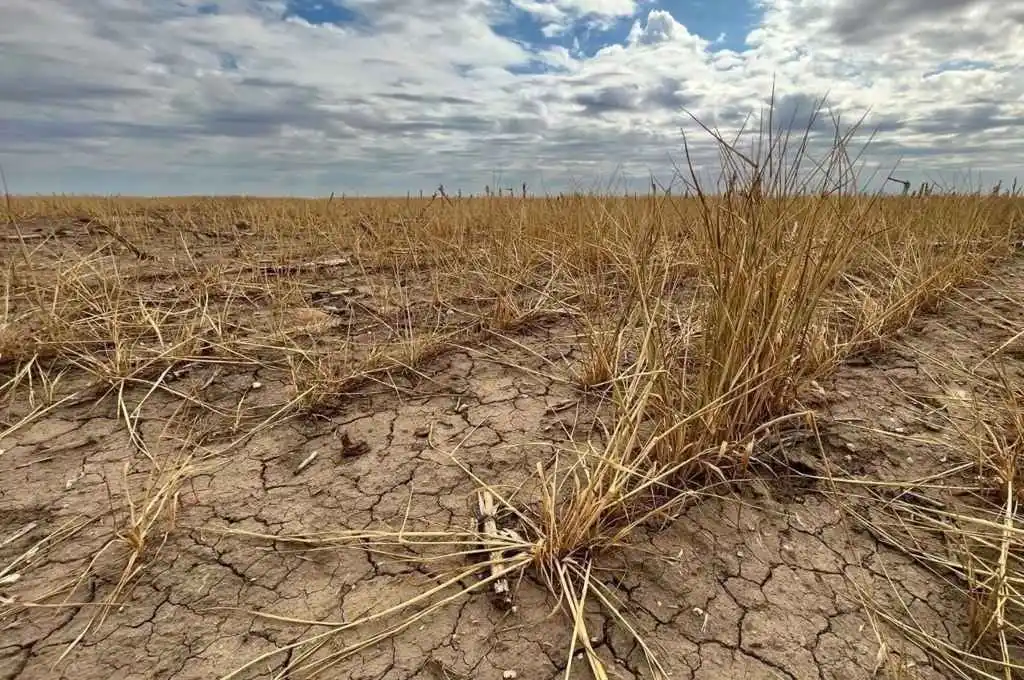 Las lluvias siguen siendo escasas en esta campaña. Foto: Archivo.