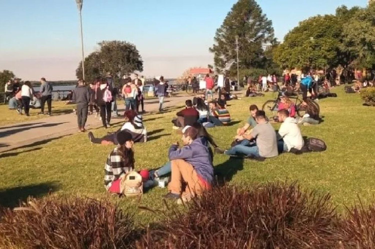 Picnics y reuniones en parques y plazas de Rosario