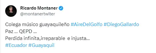 Montaner lamentó la muerte de Diego Gallardo. Foto X