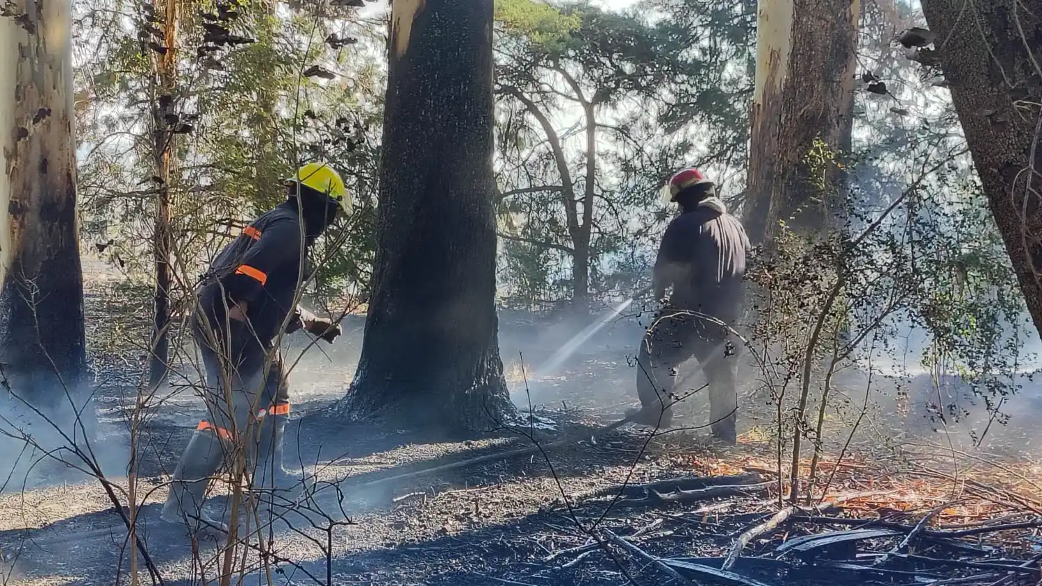 Un incendio en la zona de Los Algarrobos movilizó cuatro unidades de los Bomberos Voluntarios