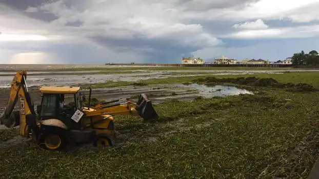 Quilmes: Ya suman cinco los casos de mordeduras de serpientes