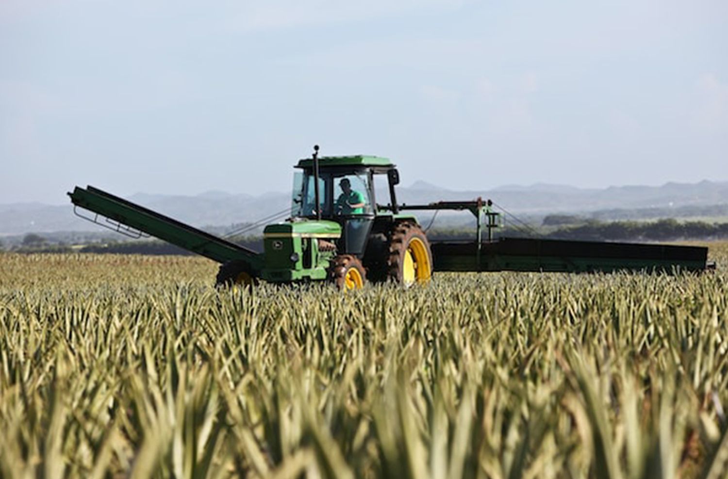 Jornada de protestas en el campo: “Necesitamos soluciones inmediatas”