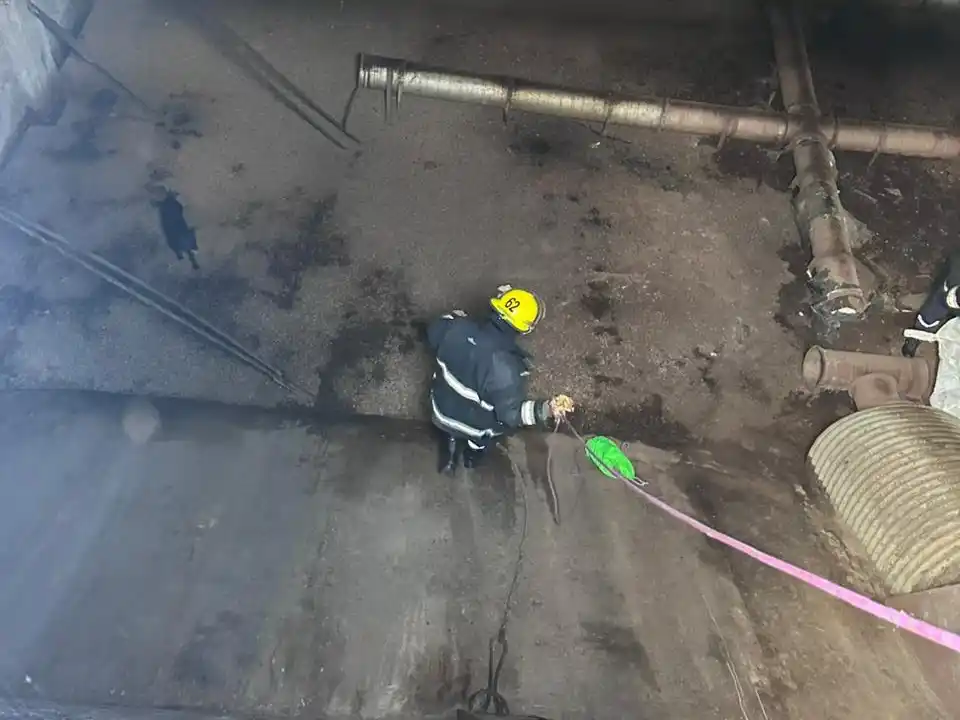 El momento en que un bombero rescataba al animal.