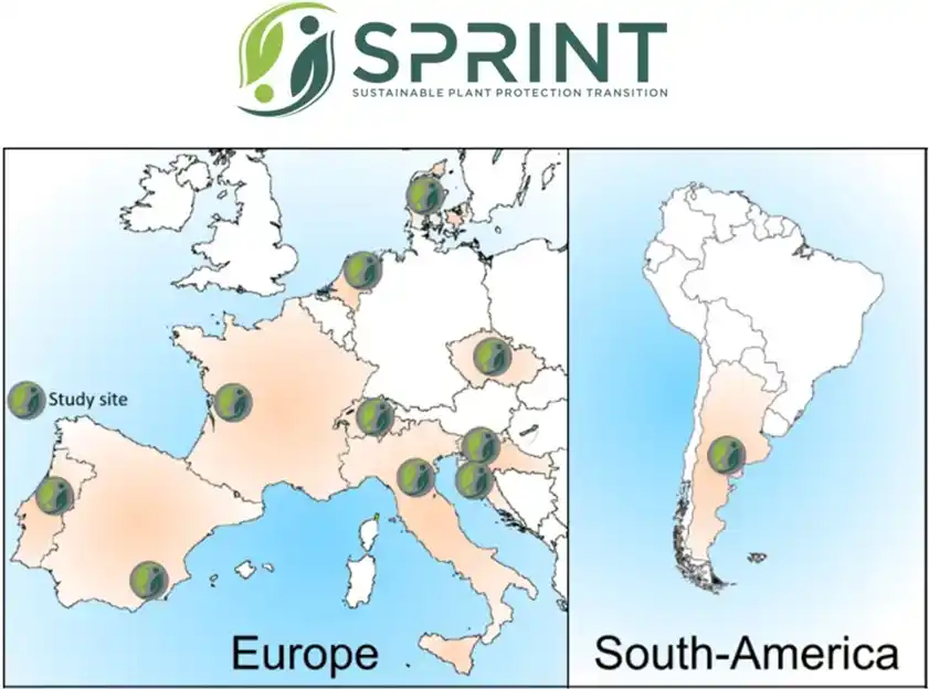 El INTA se bajó del Sprint