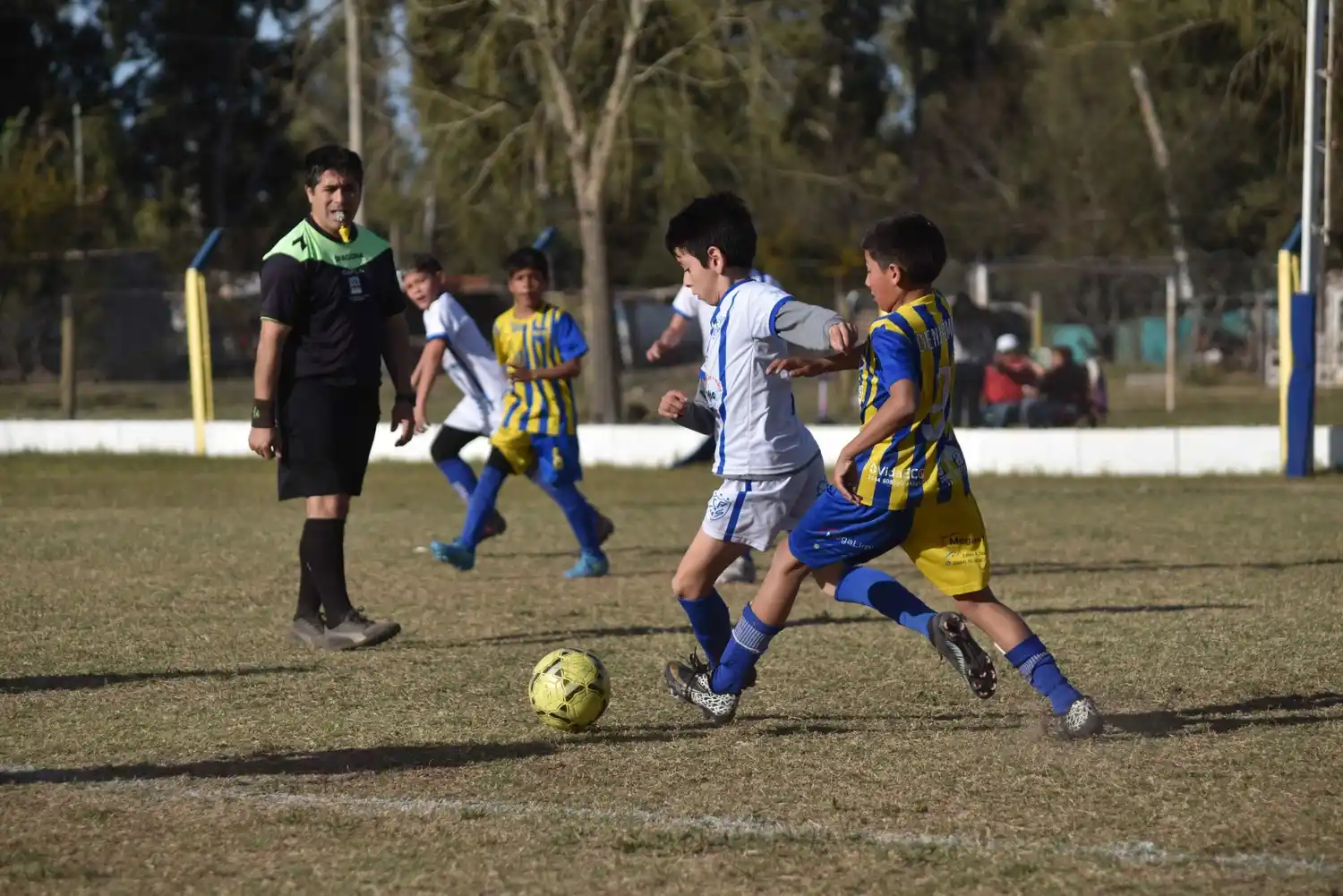 Los chicos solo jugarán torneos relámpagos
