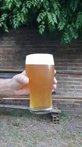 Se viene el Festival de la Cerveza Artesanal IPAraná