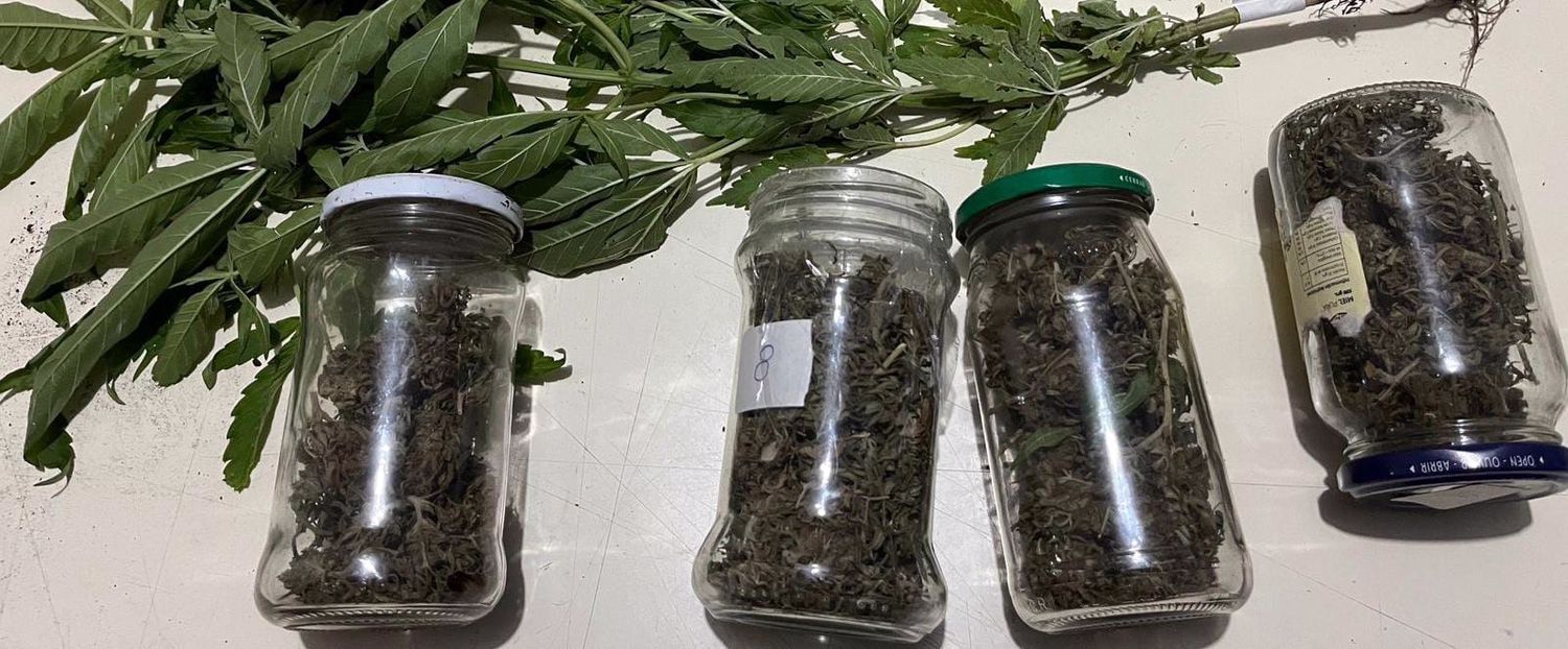 La droga incautada en la vecina localidad