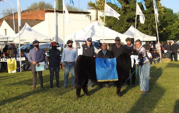 Don José y Tres Marías, los mejores terneros en la Primavera de Angus
