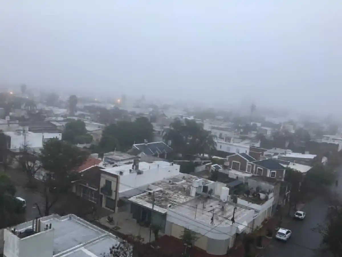 Baja visibilidad: ¿en qué se diferencian niebla y neblina?