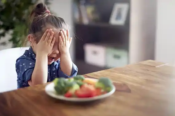 Qué es la alimentación selectiva y cómo se la debe abordar