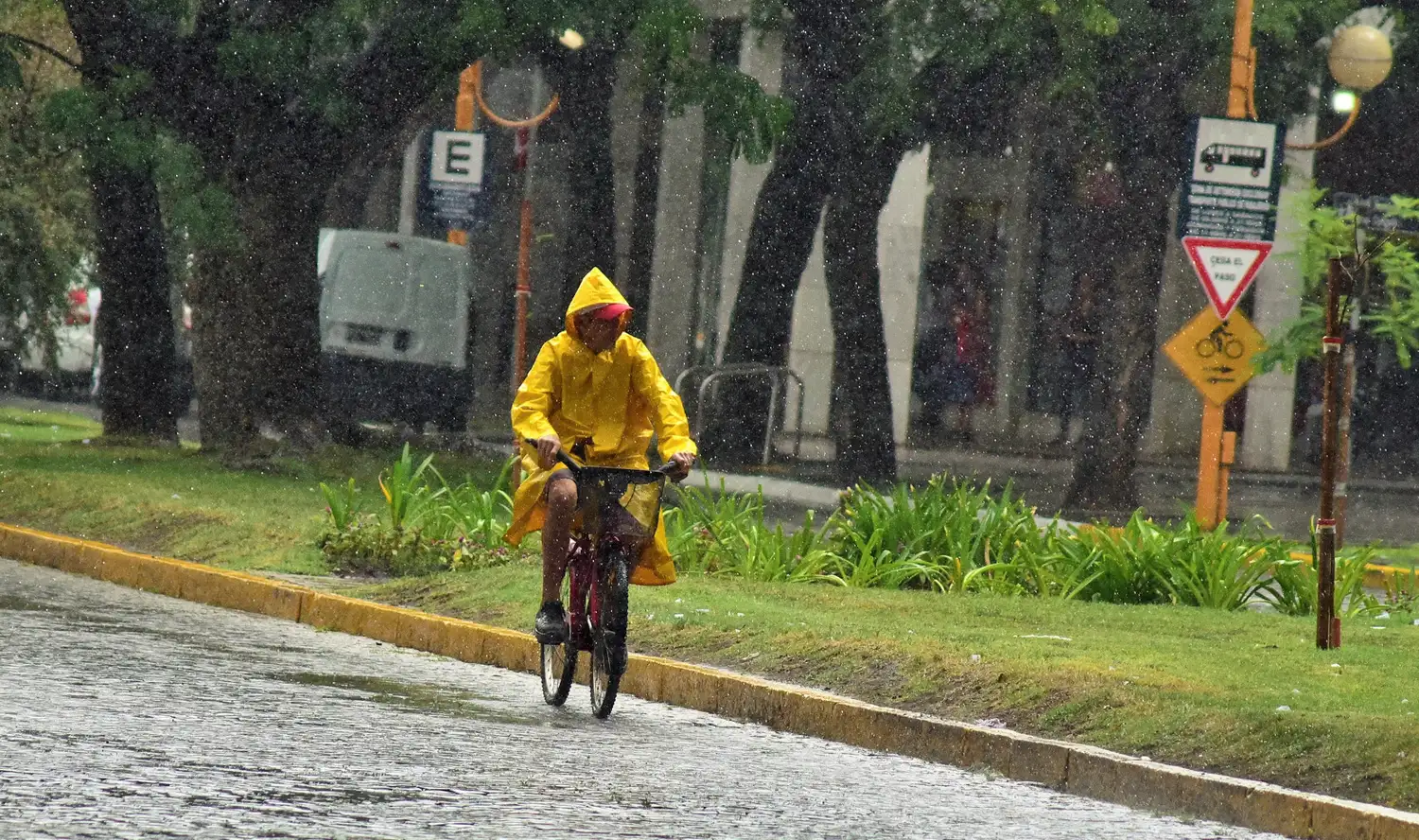 Mañana lluviosa en la ciudad.