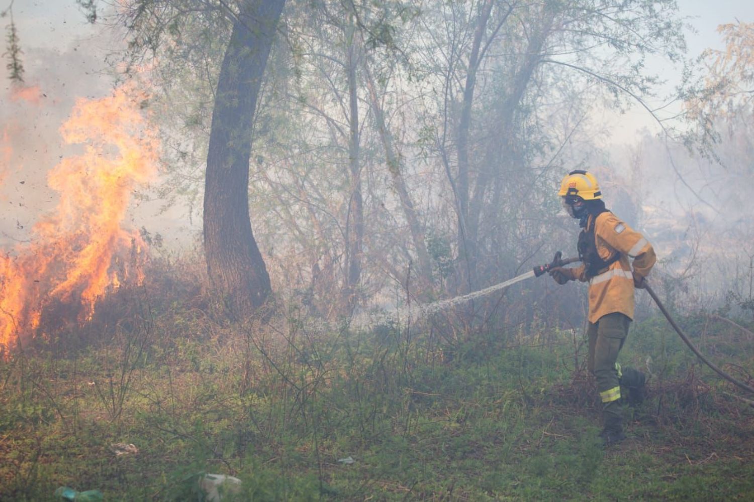 El coordinador de Bomberos Zapadores provincial afirmó que el 100 por ciento de los incendios fueron intencionales