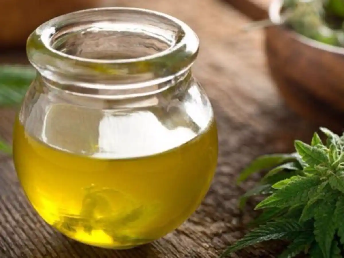 El INTI construirá en Jujuy un laboratorio público de extracción de aceite de cannabis