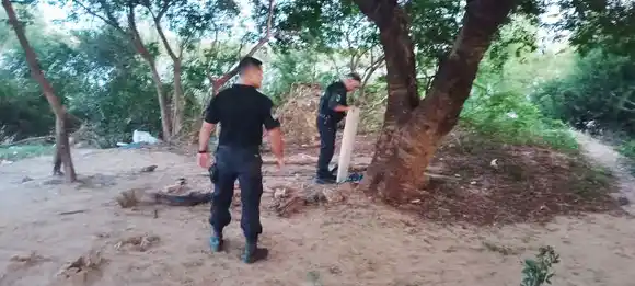 Subsecretaría de Seguridad