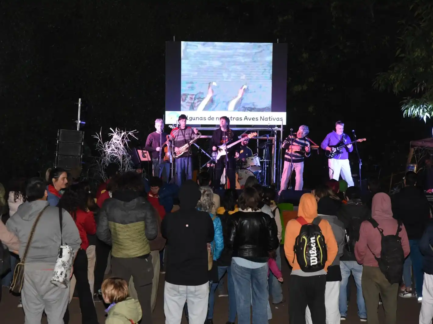 Festival Nuestra Tierra - 1