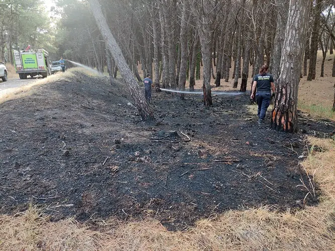 Incendio en el parque y un auto fue destruido