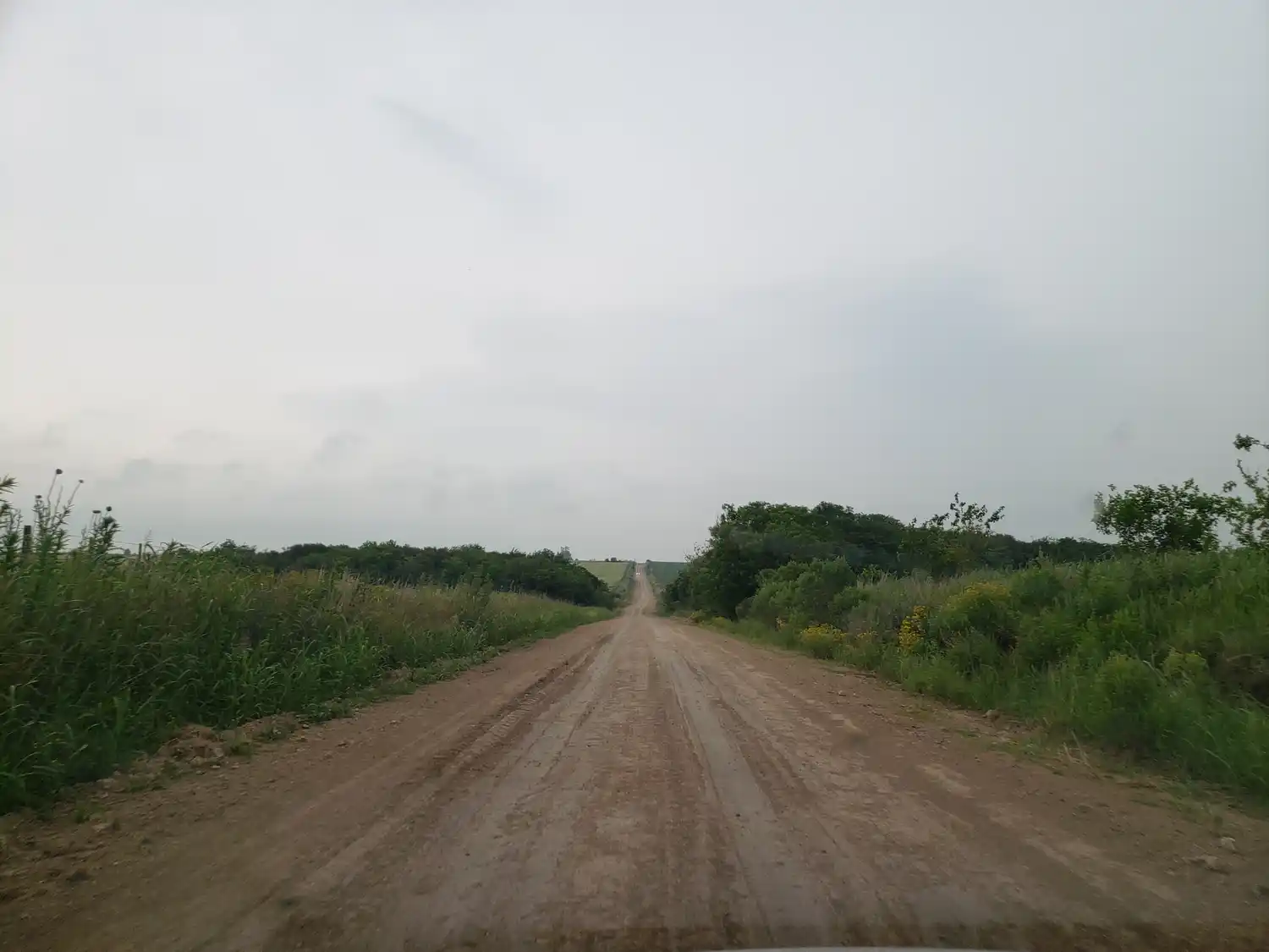 Nuevo alerta por tormentas fuertes