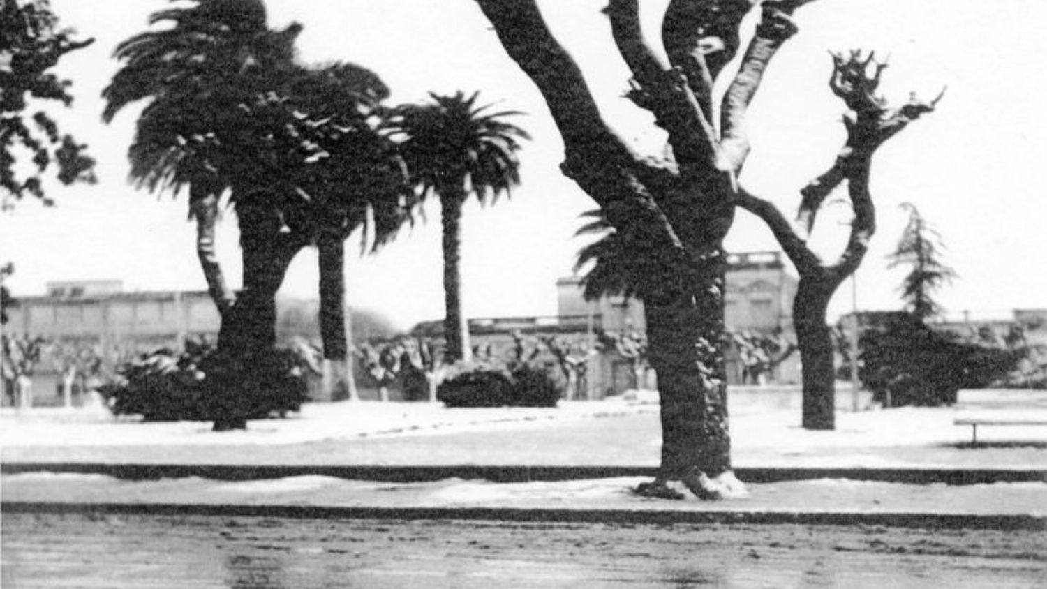 La Plaza Constitución durante la nevada de 1973. La anterior sucedió el 22 de junio de 1918.
