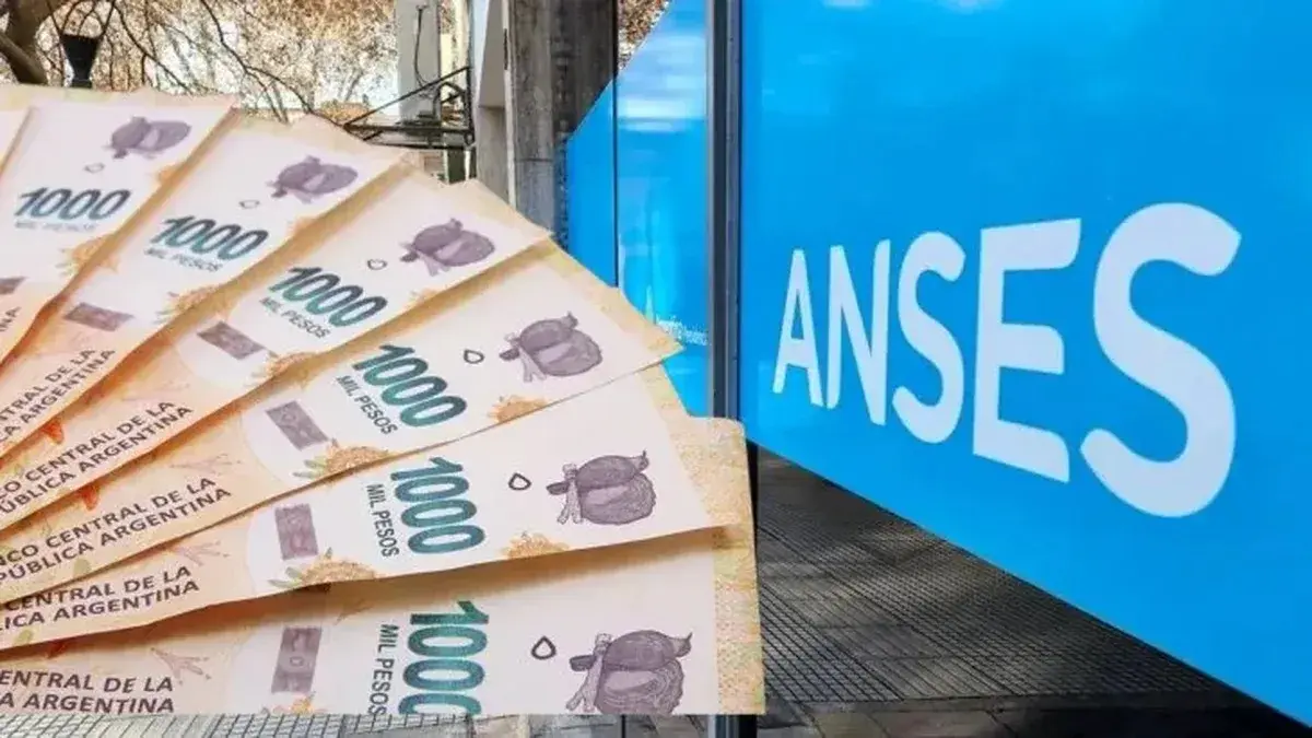 Calendario de pagos Anses - Febrero 2026.