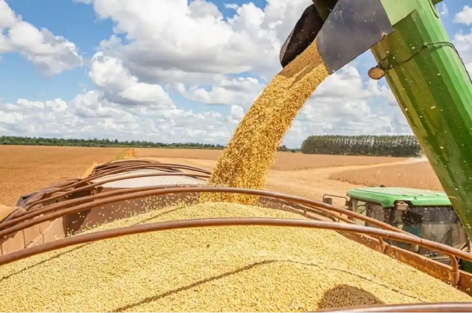 Se demora la publicación en el Boletín Oficial de la baja de retenciones