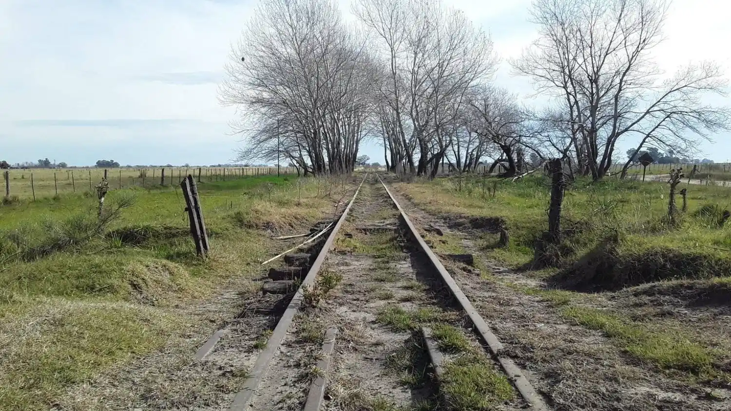 tuyuti