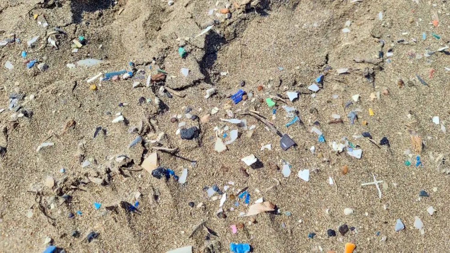 Microplástico. Abunda en la costa, según un estudio