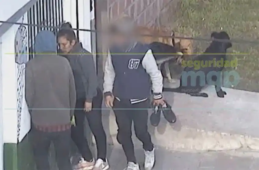 Video: roban a una mujer en la calle y de milagro no fue embestida por un camión