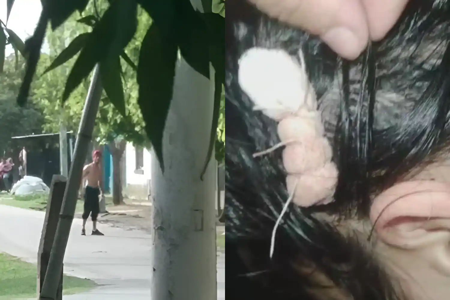 El episodio ocurrió en el barrio 2 de Abril.