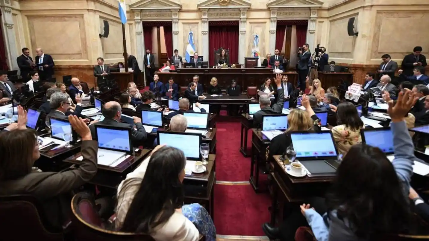 El Gobierno recibirá a los senadores electos de La Libertad Avanza para organizarse antes de su asunción. (Foto: Senado)