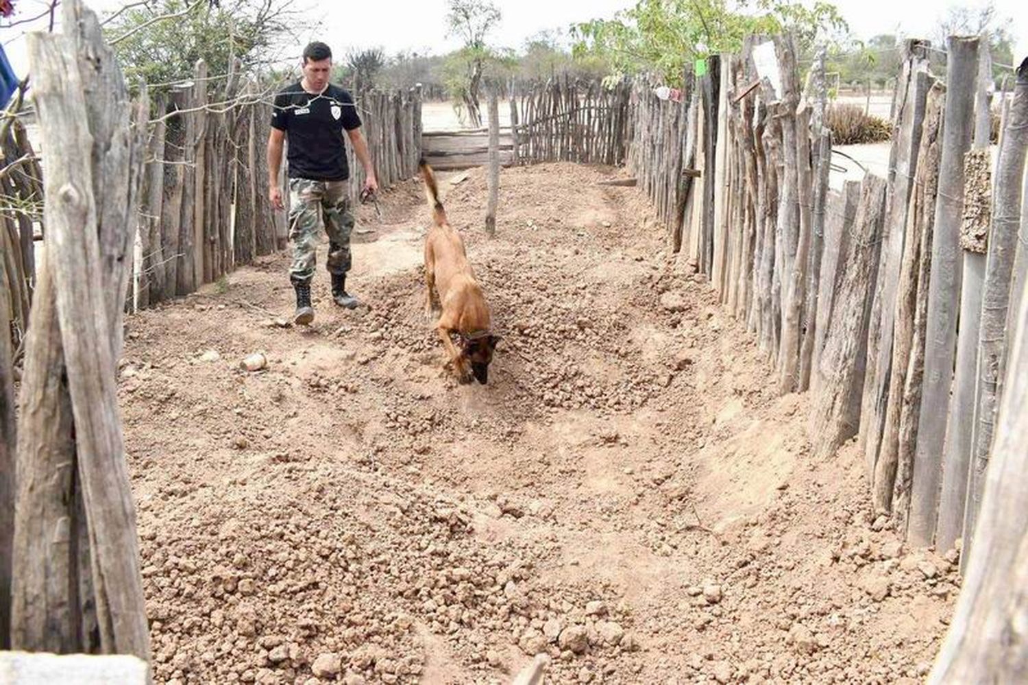 Mujer detenida por enterrar con vida a su 
nieto recién nacido en un puesto ganadero