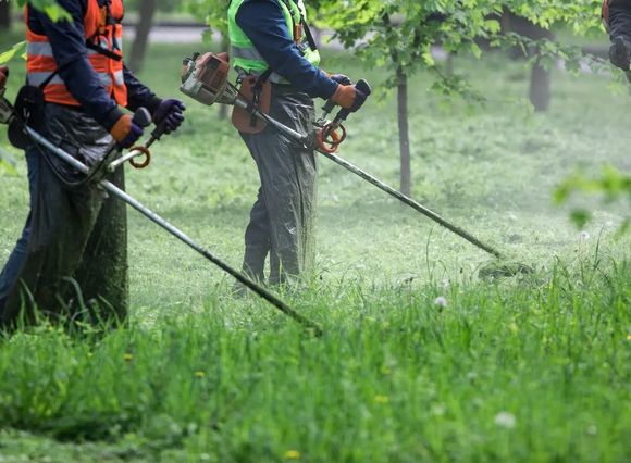 Higiene Urbana: llamado a licitación para reforzar el mantenimiento de los espacios públicos