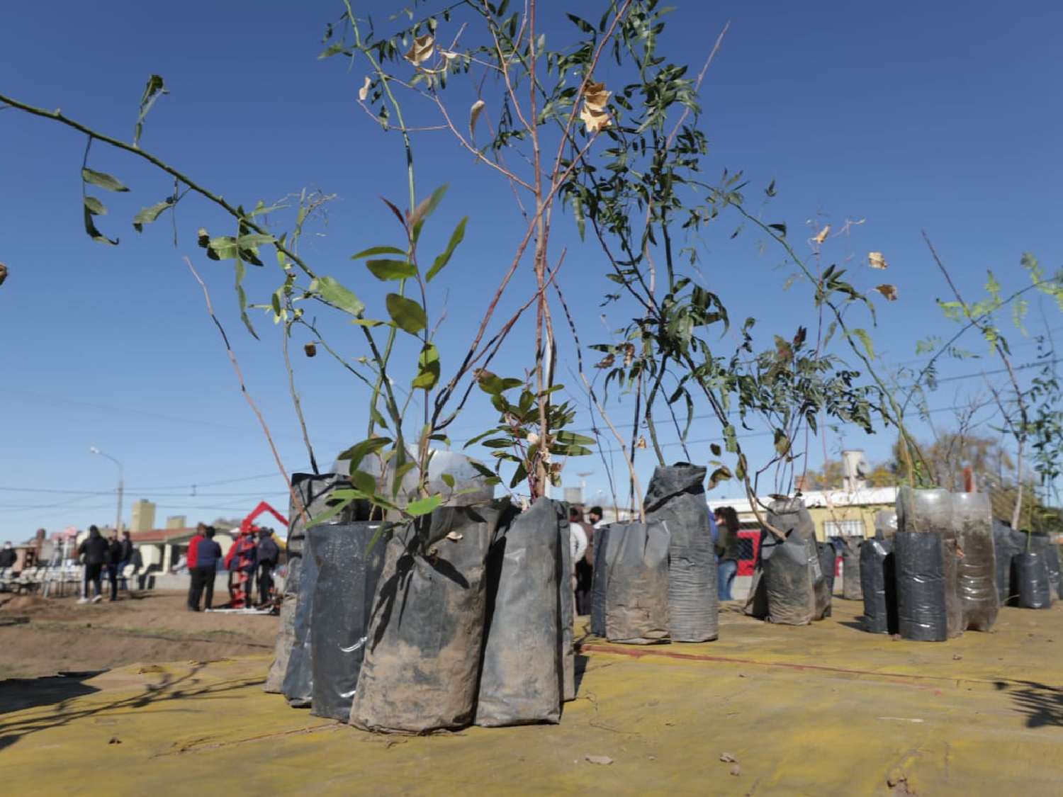 San Justo se sube a la Red Provincial de Viveros Agroforestales 