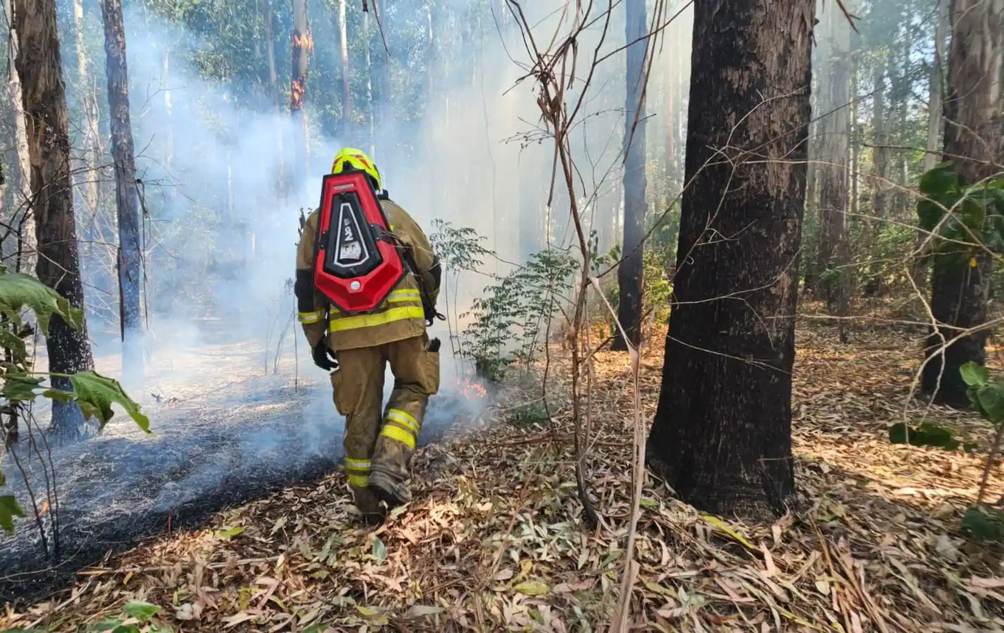 Brigadistas santafesinos lograron controlar voraz incendio en Capitán Bermúdez