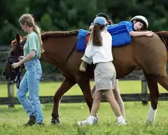 Este martes Diputados tratará en comisión tres proyectos sobre equinoterapia