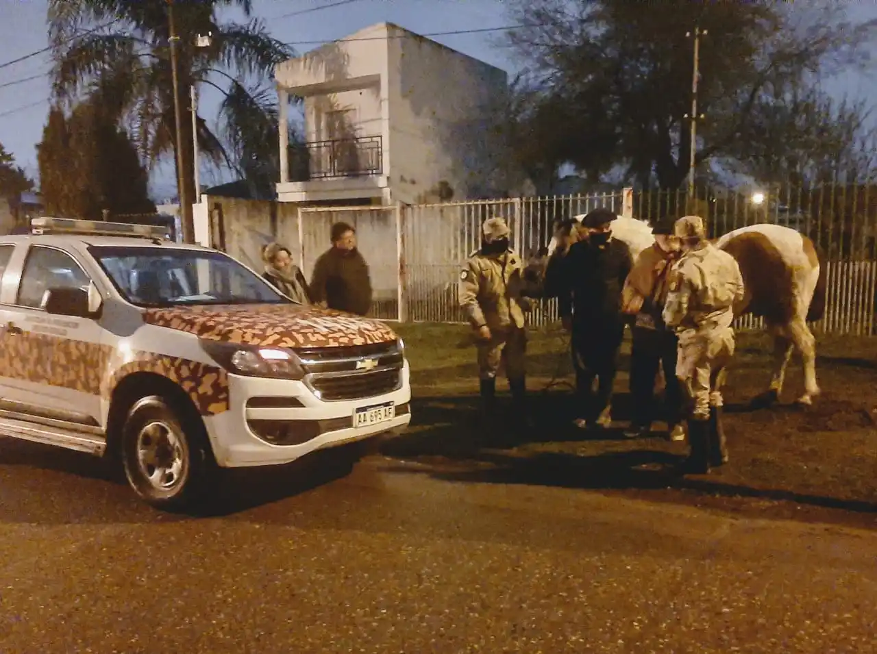 La Brigada de Abigeato recuperó caballos robados en Gualeguaychú