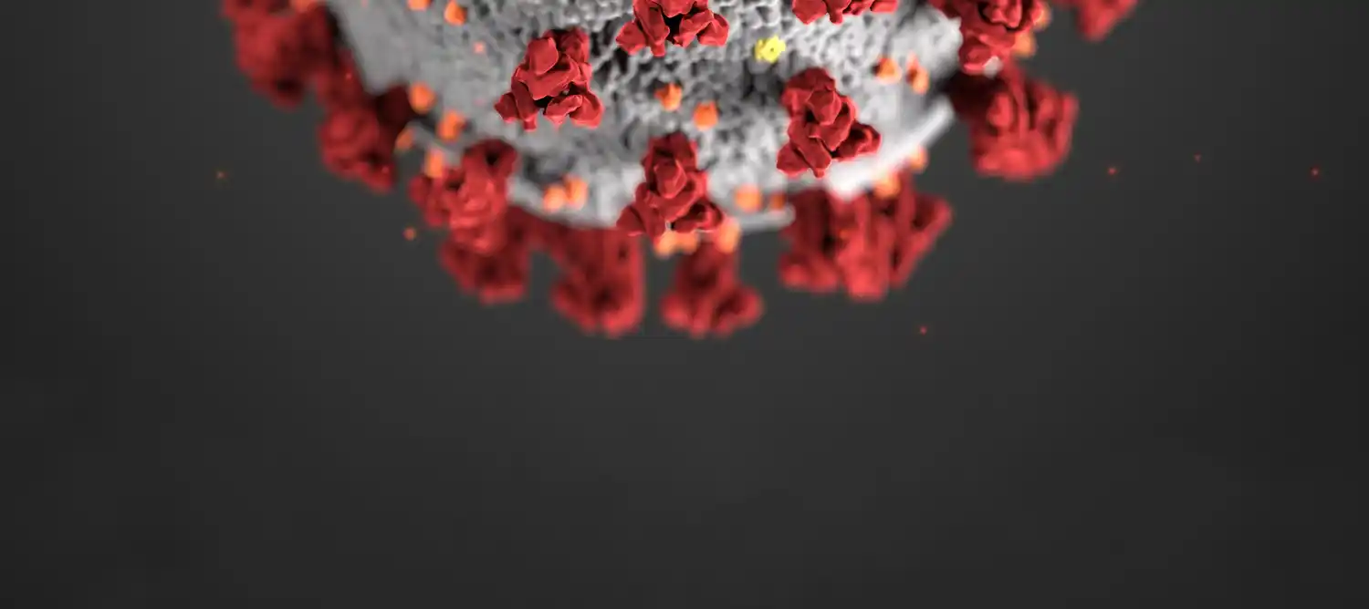 El coronavirus supera los 25 millones de casos en el mundo