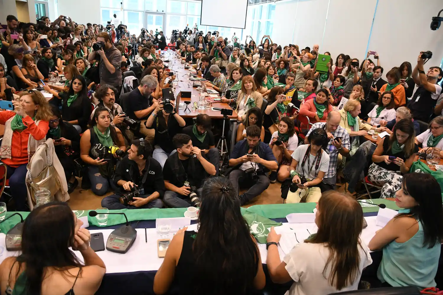Diputados votará el  aborto durante junio