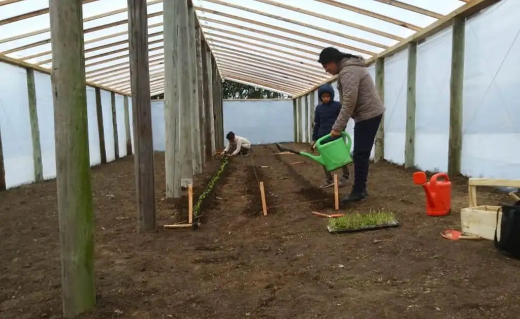 La Huerta Agroecológica de La Movediza comenzó a dar los primeros productos 