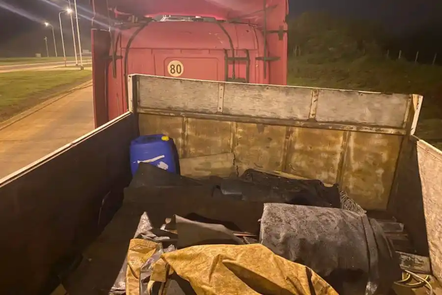 Un camión de Brasil trasladaba un total de 47 kilos de metanfetamina