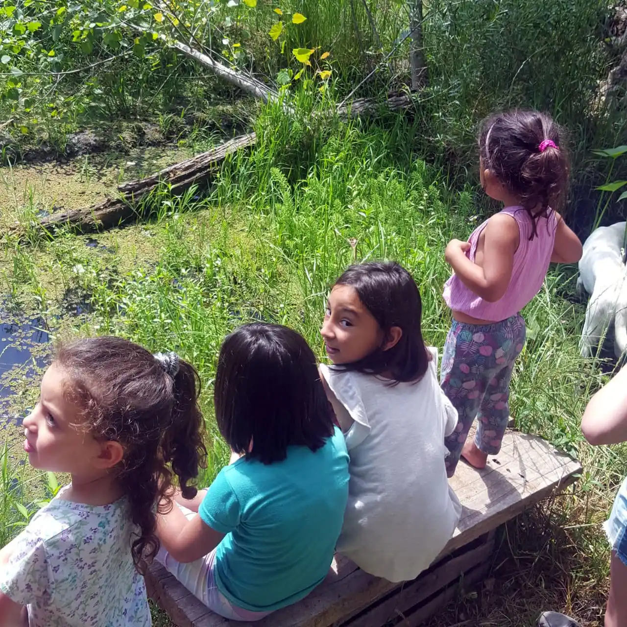 “El Portal Azul”: eco-ternura, arte y comunidad
