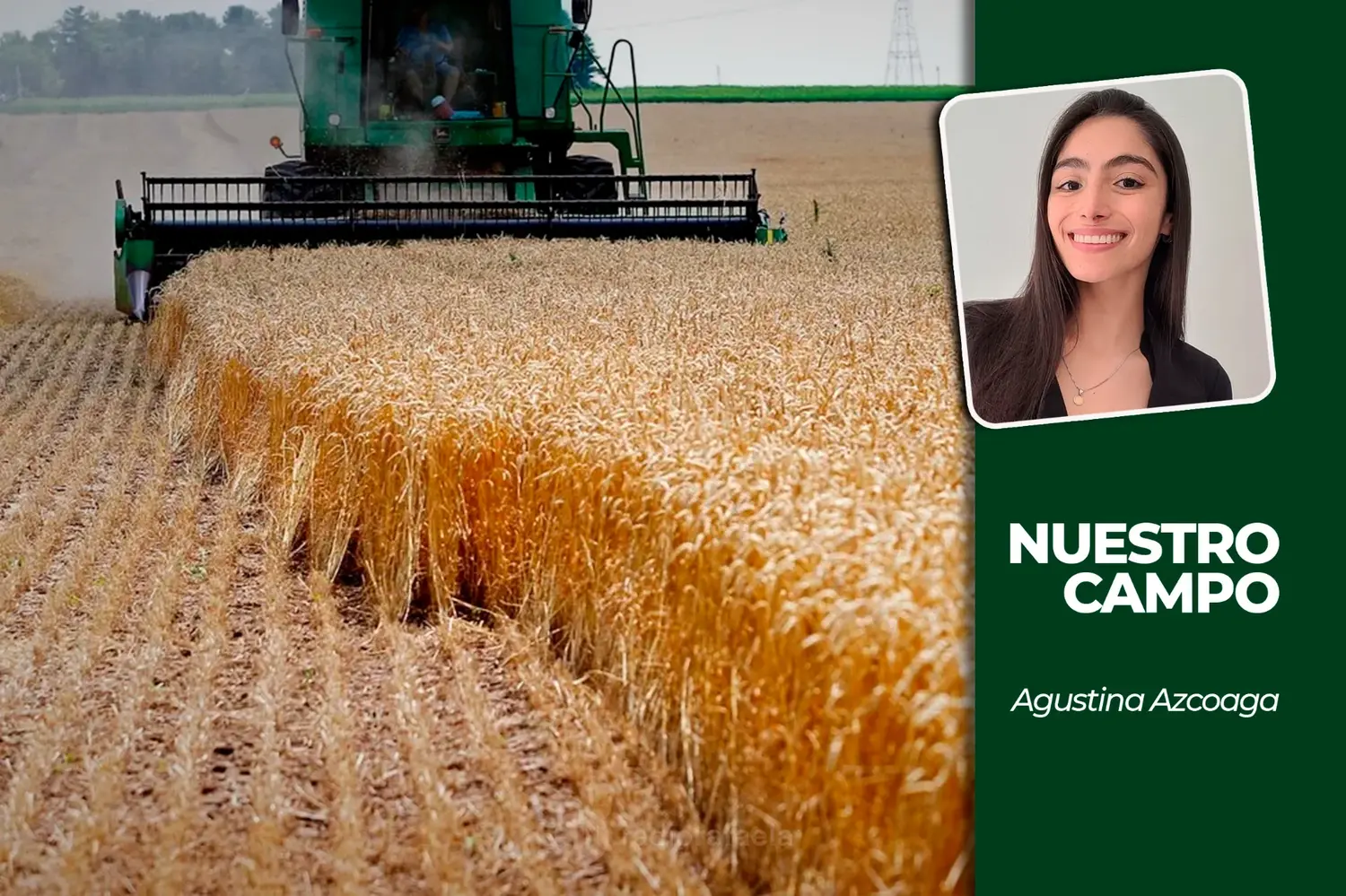El agro argentino proyecta una campaña de 155,8 millones de toneladas y exportaciones récord por US$ 42.200 millones