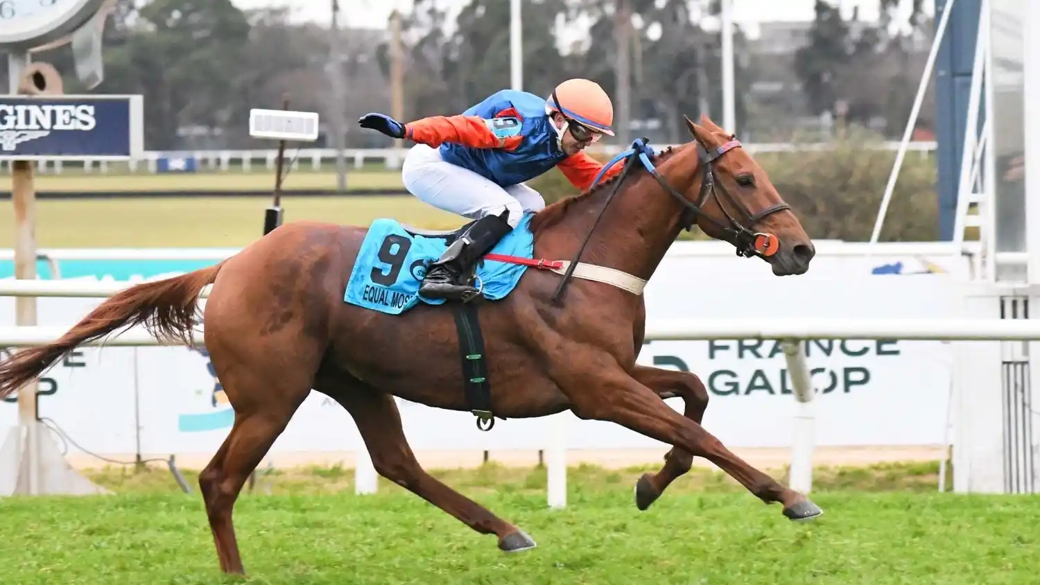 Equal Mostaza, con miras al Pellegrini (G1), va por un nuevo triunfo en el Clásico Yatasto (G3) de San Isidro.