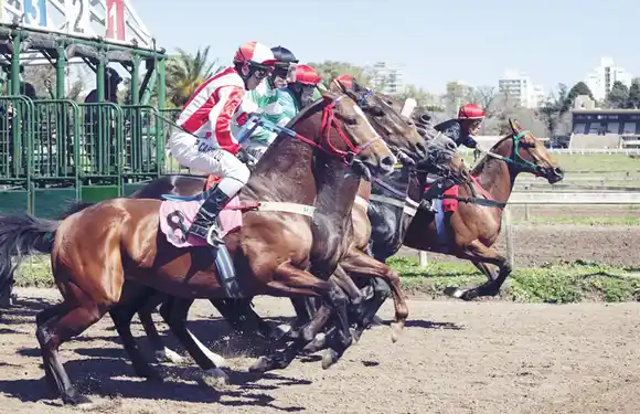Domingo 2: Actividad Hipódromo de La Plata