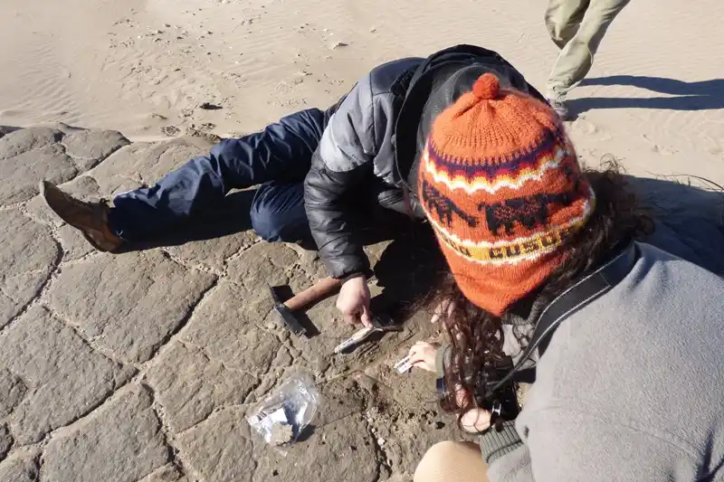 Hallan restos arqueológicos en la Reserva Faro Querandí